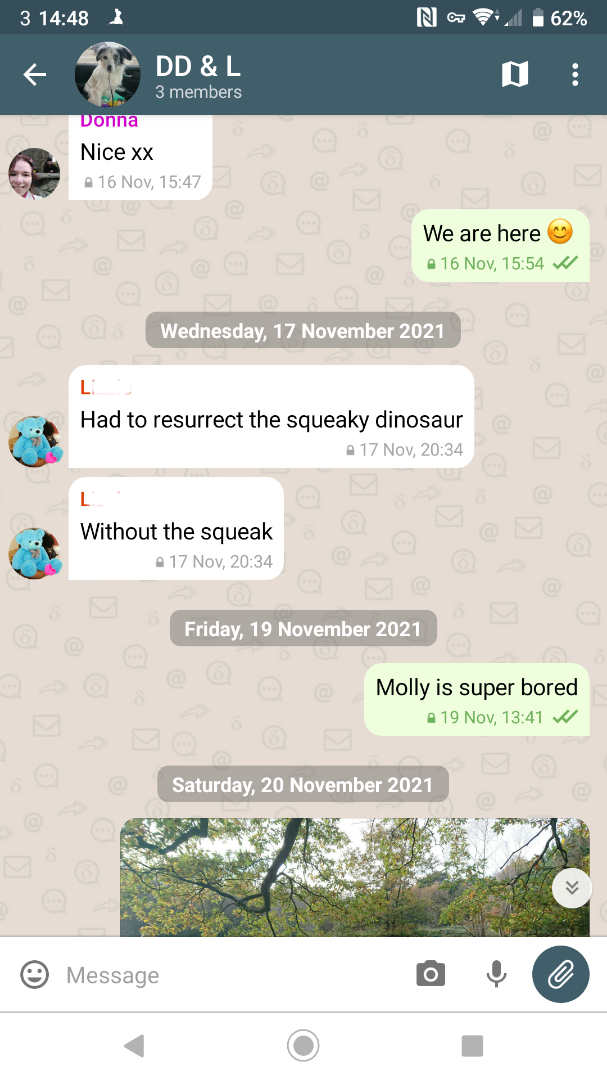 Delta Chat interface with a cute polar bear background