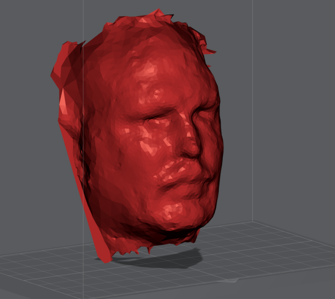 A 3D scan of the author's head 