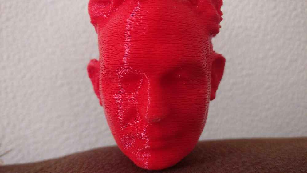 3D printed bust of the author in red PLA