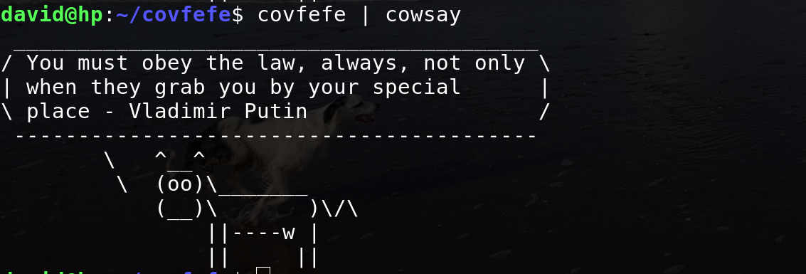 Cowsay demonstrating Vladimir Putin's commitment to law and order
