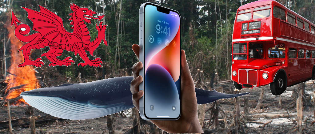 An iPhone 14 against a denuded forest background, along with a London bus, Wales, and a whale
