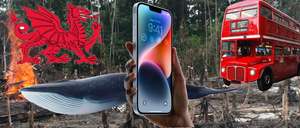 An iPhone 14 against a denuded forest background, along with a London bus, Wales, and a whale