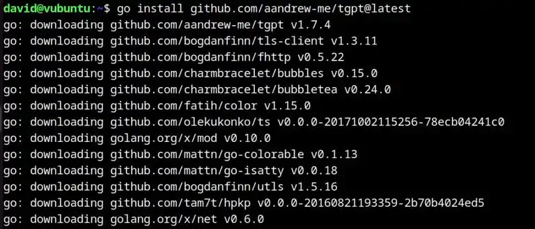 Using go to install tgpt in the Linux terminal