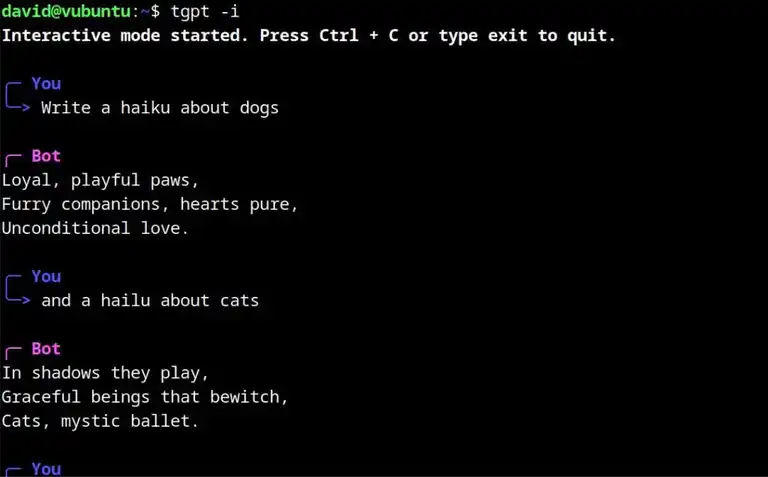 tgpt in interactive mode writing a haiku about dogs