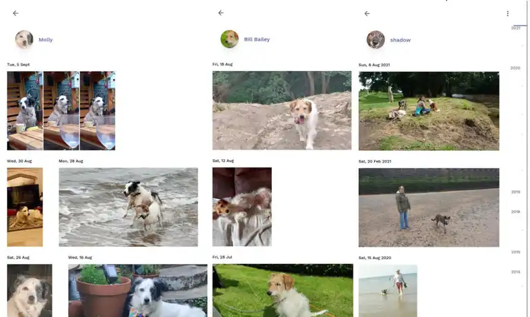 Composite Immich timeline showing tagged images of three named dogs.