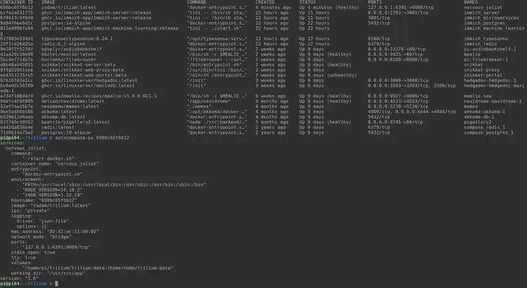 Output of the commands docker ps and autocompose.py 698bc65f6b12