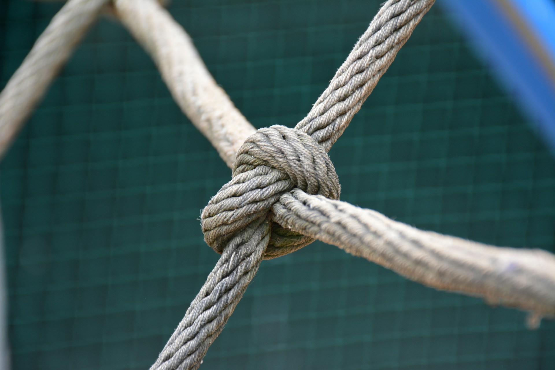 Close up on a knot in a net