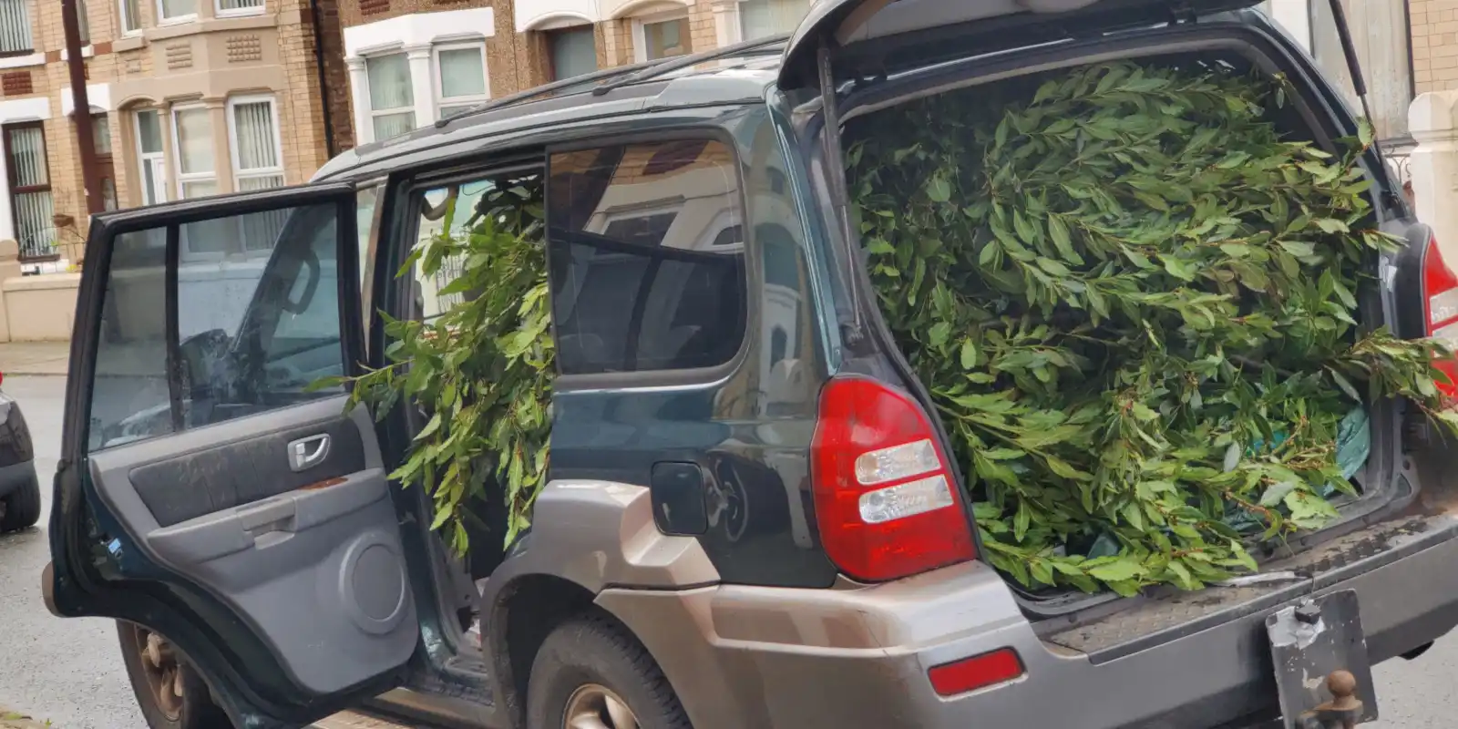 A Hyundai Terracan completely loaded with bay leaves