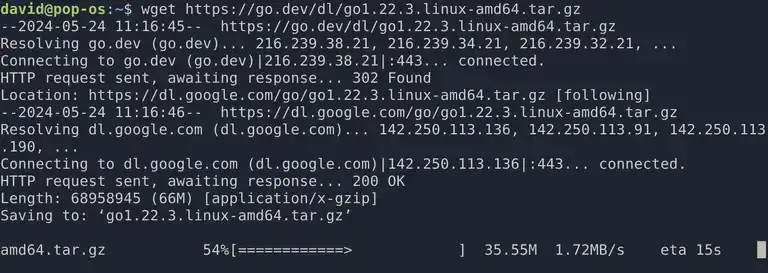 using wget to download the golang tarball